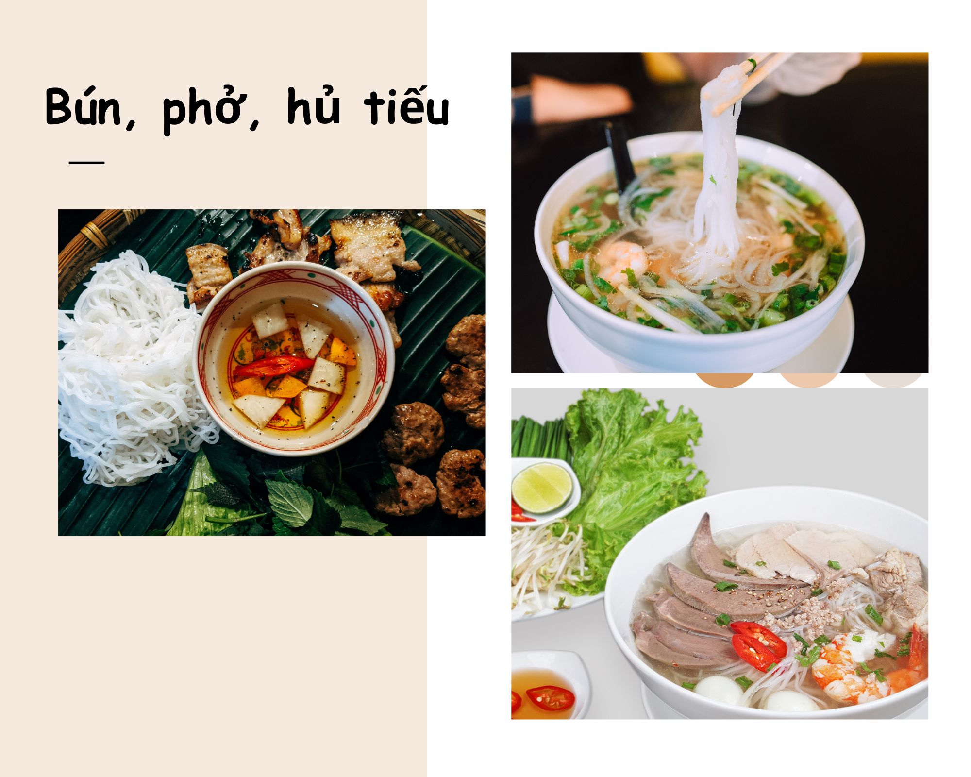 NGUYÊN LIỆU SỬ DỤNG CHO BÚN, PHỞ, HỦ TIẾU